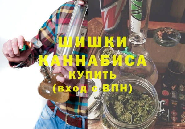сатива Аркадак