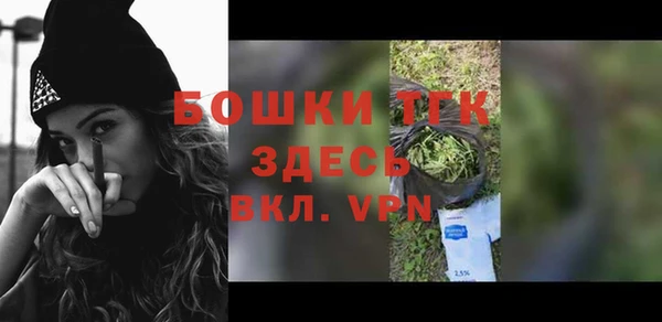 сатива Аркадак