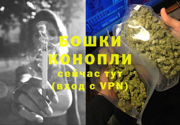 сатива Аркадак
