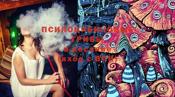твердый Арсеньев