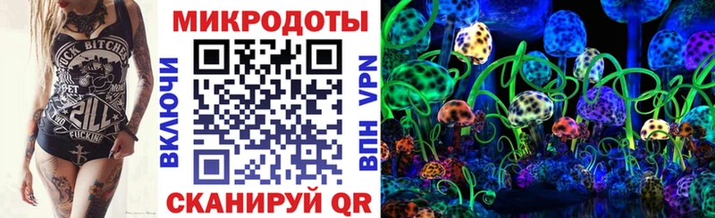 KRAKEN ссылка  Ахтырский  Галлюциногенные грибы Psilocybine cubensis 
